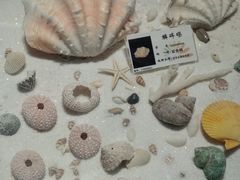 -必胜客(WOW西丽店)