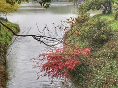 -宝岩生态观光园