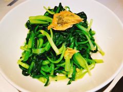 鸡毛菜炒腐衣-玫瑰厅上海菜(兴国路店)
