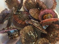 -海天一色海景自助餐厅(西港花园店)