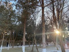 -张掖大佛寺景区