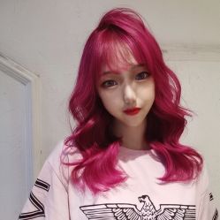 点击看大图 -金棕榈