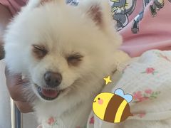 -怪兽屋·羊驼·猫咖·狗咖(俊华广场店)