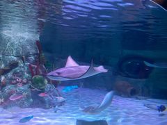 -沈阳海洋探索中心