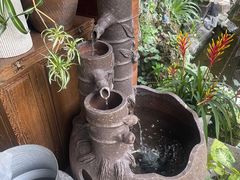 -谷咖啡·鲜花绿植花园餐厅