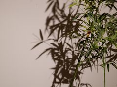-六朝博物馆