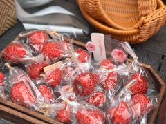 -辛庄国际文化艺术区