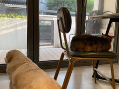 -PAUSE CAFE(南秀村店)