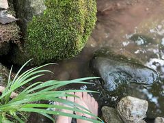 -峨眉山报国寺