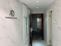 -潘多拉Hairsalon