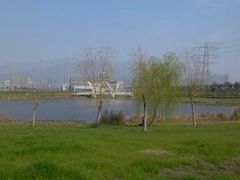 -九里河湿地公园