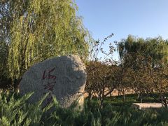 -永定河休闲森林公园