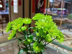 -世纪金源购物中心(远大路店)
