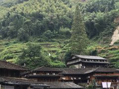 -林坑古村落