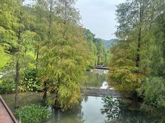 -云溪植物园