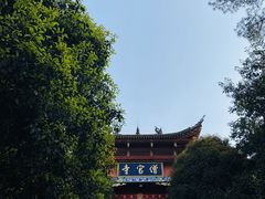 -铁山坪森林公园