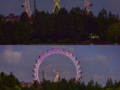 -上海野生动物园