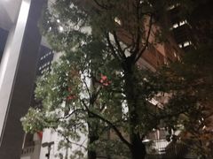 -东京都厅舍