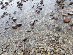 -西涌国际滨海旅游区