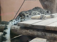 -青藏高原野生动物园