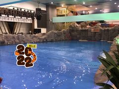 -水王国温泉水世界