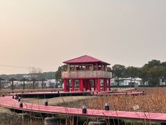 -嘉北郊野公园