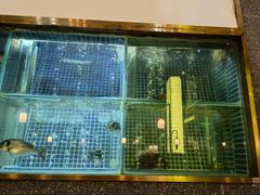 -顺峰顺水顺德菜(龙华店)