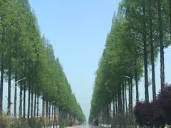 -小李子油焖大虾(南浦店)