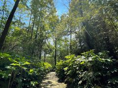 -杭州半山国家森林公园