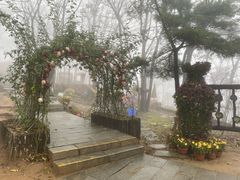 -沂蒙山旅游区云蒙景区(蒙山国家森林公园)