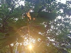 -四川大学(望江校区)
