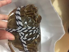 -喜洋洋蟹庄(阳澄湖店)