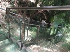 -川西竹海景区