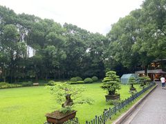 -申粤轩酒楼·三十年粤菜经典(丁香花园店)