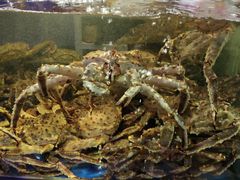 -蟹之国·精品蟹料理(极地店)