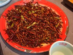 -川芙蓉·市井老川菜(长寿路店)