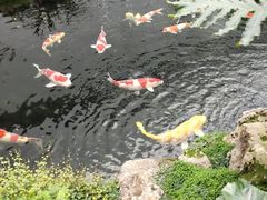 -罗红摄影艺术馆