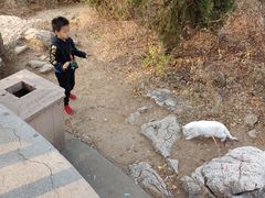 -府君山公园