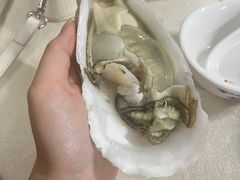 法国生蚝-嘉升大排档(番禺总店)