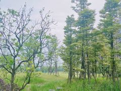 -永康森林公园