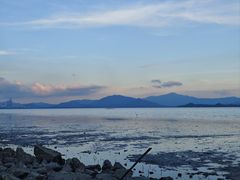-深圳湾公园(南山区)