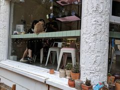 -有猫主题·治愈系猫咖(曾厝垵店)