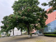 -国际非物质文化遗产博览园