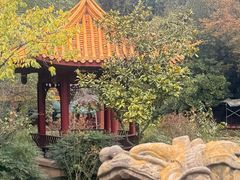 -富乐山