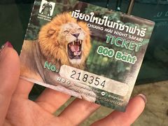 -清迈夜间动物园