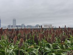 -三圣花乡旅游区