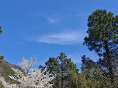 -穹窿山景区