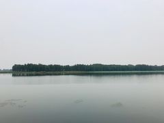 -东湖落雁景区