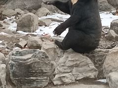 -北京野生动物园