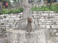 -黔灵山公园